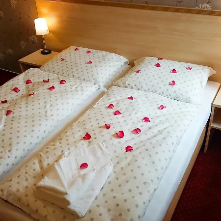 Brdy Hotel 3*